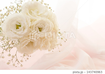 白いトルコキキョウの花束 布背景 白いトルコキキョウの花束 布背景 143740963