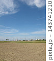 首都圏近郊の耕作された秋の田んぼ風景 143741210