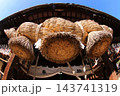 大きなしめ縄 143741319
