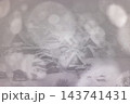 岐阜県　冬の世界遺産 白川郷の雪景色 143741431