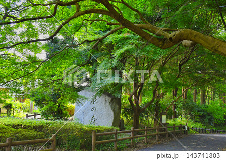 【神奈川県】大和市泉の森 143741803