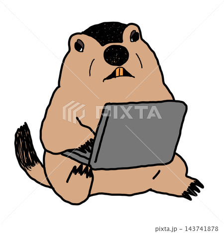マーモット 143741878