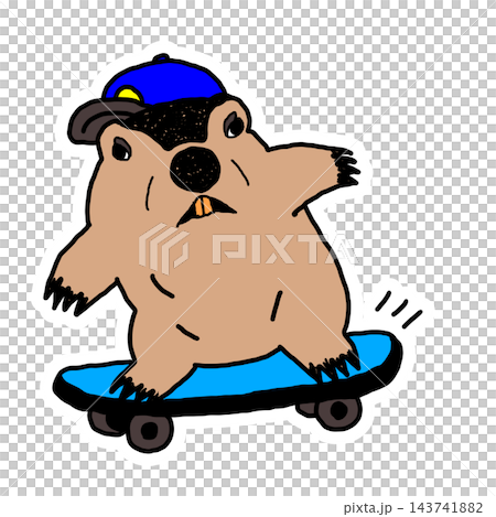 Marmot 滑板 143741882