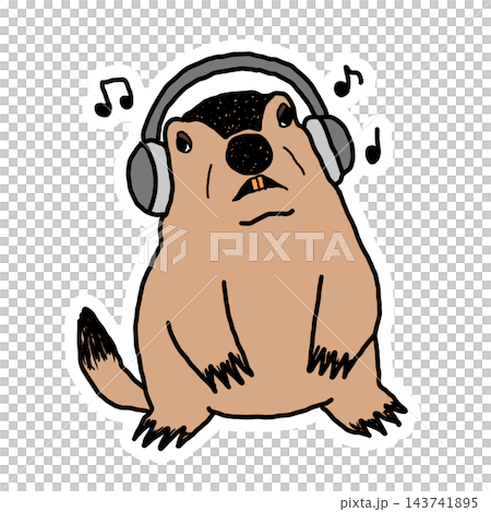 A marmot listening to music A marmot listening to music 143741895