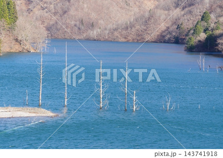 冬の徳山湖 岐阜県揖斐川町 冬の徳山湖 岐阜県揖斐川町 143741918