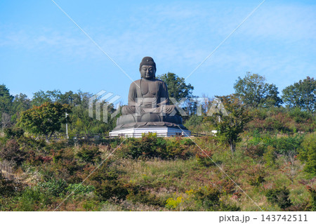 東京都 秋 日の出町 鹿野大仏 東京都 秋 日の出町 鹿野大仏 143742511