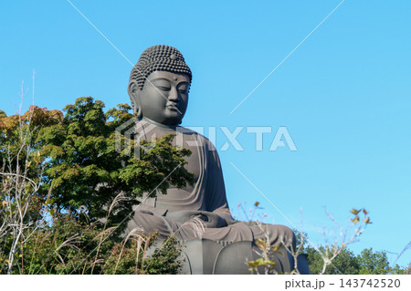 東京都 秋 日の出町 鹿野大仏 東京都 秋 日の出町 鹿野大仏 143742520