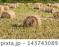 秋の風景　稲わらロールと収穫の後の田んぼ 143743089