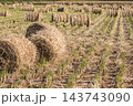 秋の風景　稲わらロールと収穫の後の田んぼ 143743090