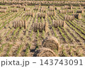 秋の風景　稲わらロールと収穫の後の田んぼ 143743091