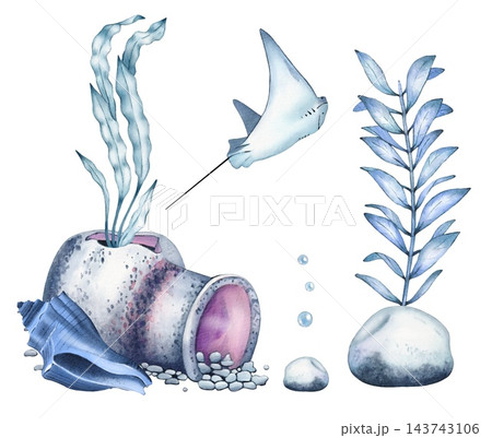 Sea composition with vase, algae, manta ray. Underwater world. Watercolor illustration 143743106