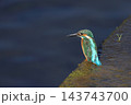 かわせみ 143743700