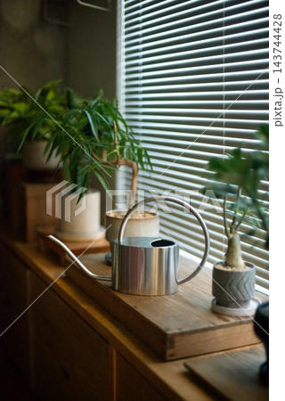 窓辺に並べた鉢植えの植物とステンレスのジョウロ 143744428
