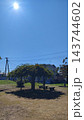 青空と木陰のある公園の風景 143744602