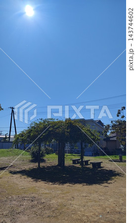 青空と木陰のある公園の風景 143744602