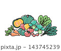 シンプルな野菜のイラスト　緑黄色野菜 143745239
