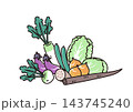 シンプルな野菜のイラスト　淡色野菜 143745240