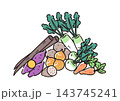 シンプルな野菜のイラスト　根菜 143745241