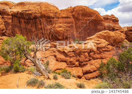 Scenic Fiery Furnace Terrain Rocks and Vegetation 143745486