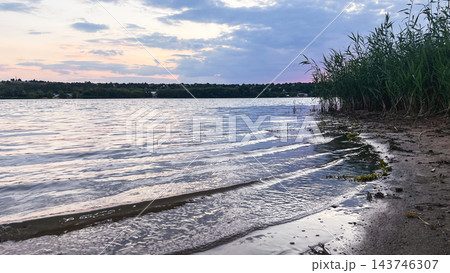 Gentle waves washing onto a reed-lined lake shore at dusk Gentle waves washing onto a reed-lined lake shore at dusk 143746307