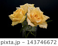 黒背景に映える3輪の黄色いバラ、美しい花束の横型コピースペース 143746672