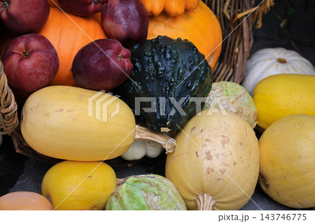 Autumn Harvest Still Life with Pumpkins, Apples and Squash. Rural market stand with fresh vegetables and fruits. Healthy food background. Pumpkin, apples, cabbage and squash in basket. October harvest 143746775