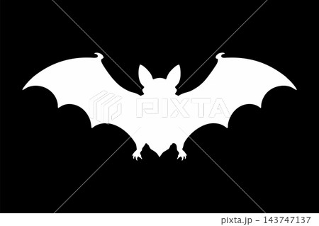 Symmetrical White Bat Silhouette Isolated on Black Background Symmetrical White Bat Silhouette Isolated on Black Background 143747137
