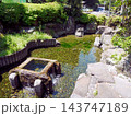 年の神公園の湧き水池　（熊本県玉名郡） 143747189