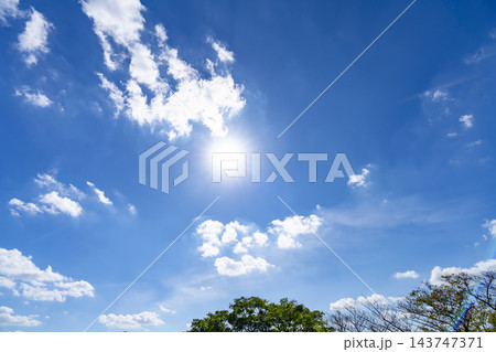 秋の青空と雲と樹木 秋の青空と雲と樹木 143747371