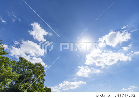 秋の青空と雲と樹木 秋の青空と雲と樹木 143747372
