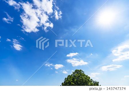 秋の青空と雲と樹木 秋の青空と雲と樹木 143747374