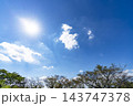 秋の青空と雲と樹木 143747378
