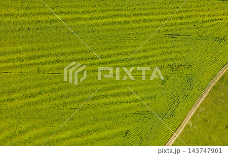 farm field, agriculture, view from above farm field, agriculture, view from above 143747901