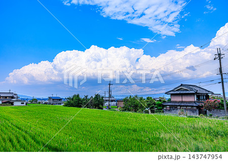 青空と入道雲が広がる鮮やかな夏の田園風景と日本の原風景 青空と入道雲が広がる鮮やかな夏の田園風景と日本の原風景 143747954