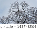 枝に雪の積もった樹木 143748504