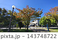 青空と色づいた街路樹が美しい住宅街の風景 143748722