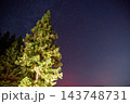 星空と夜の針葉樹 143748731