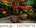 ライトアップされた紅葉と石庭 143748734