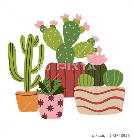 Collection of cute cartoon cacti and succulents in decorative pots with pink flowers. This isolated illustration features various potted desert plants in a charming flat hand drawn style. Collection of cute cartoon cacti and succulents in decorative pots with pink flowers. This isolated illustration features various potted desert plants in a charming flat hand drawn style. 143748938