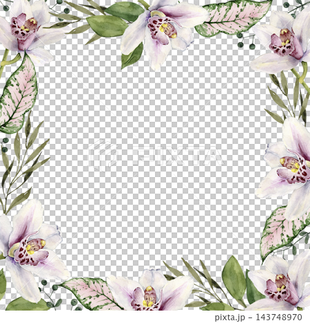 Watercolor frame with white orchid flowers and green leaves Watercolor frame with white orchid flowers and green leaves 143748970