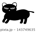 Dizzy black cat with spiral eyes confused silly pet character element sticker print visual graphic clipart artwork design icon illustration 143749635