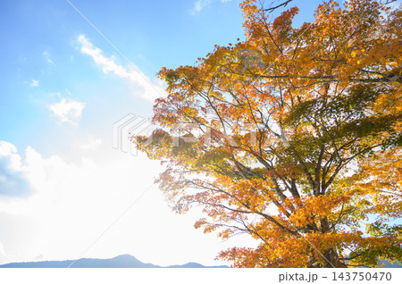 青空の下で太陽の光を浴びる秋の紅葉と山並み 青空の下で太陽の光を浴びる秋の紅葉と山並み 143750470