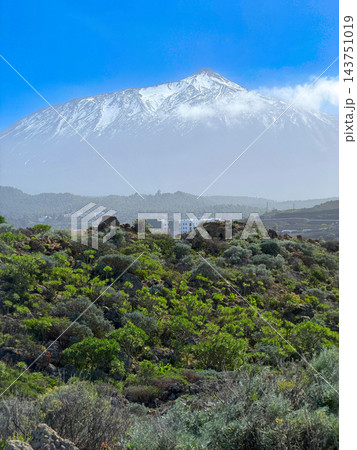 volcano Teide, Tenerife, Spain 143751019