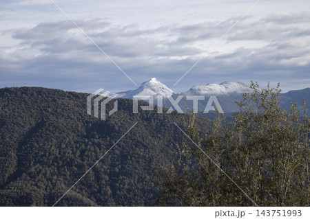 Snow capped mountains behind green forest hills Snow capped mountains behind green forest hills 143751993