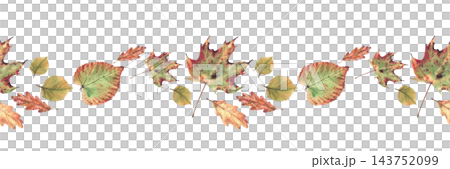 Watercolor Autumn fall leaf seamless border from deciduous trees. Realistic hand drawn botanical illustration, colorful nature foliage horizontal design on white background for textile and stationery. Watercolor Autumn fall leaf seamless border from deciduous trees. Realistic hand drawn botanical illustration, colorful nature foliage horizontal design on white background for textile and stationery. 143752099