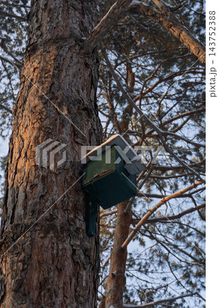 Green wooden birdhouse attached to a pine tree trunk. Winter forest scene with snow on the roof. Vertical photo of nature shelter Green wooden birdhouse attached to a pine tree trunk. Winter forest scene with snow on the roof. Vertical photo of nature shelter 143752388