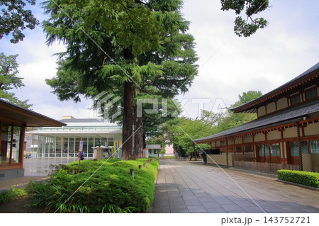 東京 靖国神社と遊就館 東京 靖国神社と遊就館 143752721