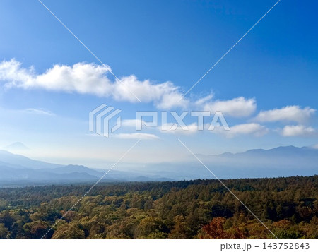 空気の冷たい美し森朝日を浴びて黄金に光る紅葉が幻想的でした 143752843