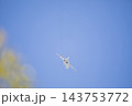 蒼空と飛行機　 143753772