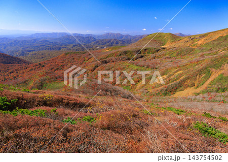 栗駒山　秋の紅葉 143754502